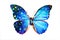 Blue Morpho