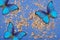 Blue morpho butterflies on a blue and gold background. Golden foil confetti on blue background. Festive colorful bright background