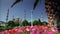 Blue Mosque in Istanbul, Turkey with tree and flowers