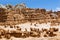 Blue Mountain Hoodoos Goblin Valley State Park Utah