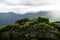 Blue mountains canyons with sunray behind green bushes, Katoomba, New South Wales, Australia