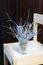 Blue muscari flowers Grape hyacinth and white twigs in glass vase