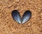 Blue mussel heart