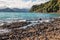 Blue mussels on beach in Marlborough Sounds, New Zealand