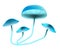 Blue mycena mushroom