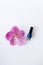 Blue nail polishes stand near beautiful pink flower
