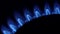 Blue Natural Gas Flames. Slow Motion. Clost up