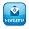 Blue and Navy `NEWSLETTER` web button