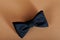 Blue neck bow tie