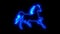 Blue neon horse running in the wind animated logo loopable