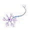 Blue neuron cell. Brain activity and dendrites. Scientific cartoon illustration. Membrane and the nucleus