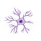 Blue neuron cell. Brain activity and dendrites. Scientific cartoon illustration. Membrane and the nucleus