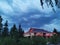 The blue night sky, graceful branches, and antique roof