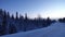 Blue Night Sky and Pinetrees in Swedish winter landscape of Are Valadalen, Jamtland