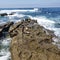 Blue ocean water waves crashing on rock with seals sun bathing
