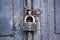 A blue old wooden door with a rusty steel lock. Farm gate from planks with an old padlock. The lock on the door