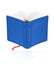 Blue open book with red bookmark vector