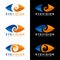 Blue and orange eye vision logo signs on white and black background vector art design