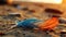 A blue and orange feather laying on top of a sandy beach. Generative AI image.