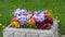 Blue and orange flowers panoramic zoom in shot