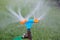 Blue and orange sprinkler watering grass. Garden irrigation system watering lawn. Closeup image of a garden sprinkler on