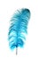 Blue Ostrich Feather