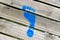 Blue Painted Footprint