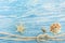 Blue painted wooden boards background with seashell, starfish an