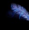 Blue palm tree with neon lights isolated on black.