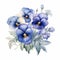 Blue Pansies Watercolor Illustration On White Background