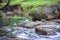 Blue paper boat stack on rock in the stream with green grass banks