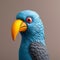 Blue Parrot 3d Model On Light Brown Background