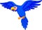 Blue parrot cartoon flying