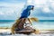 blue parrot sitting atop a feathered pirate hat on a beach