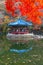 Blue pavilion situated on a pond in Naejangsan national park in republik of Korea