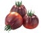 Blue Pear heirloom tomatoes, anthocyanin-rich,  isolated