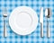 Blue Picnic Blanket Plate Spoon Knife Fork