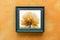 Blue picture frame on orange wall