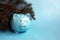 Blue piggy piggy bank on a blue background with fir branches symbol of 2019