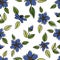 Blue pimpernel, and leaves, black outline unfit colored illustration, seamless pattern.