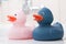 blue and pink rubber duck toys couple on bath