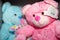 Blue and pink teddy bears ready for baby gender reveal