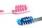 Blue and pink tooth-brushes