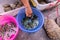 Blue and pink tubs with green and brown baby turtles and two large brown turtles tied to a plastic container