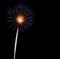 Blue pistil firework exploding in the night sky