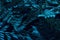 Blue plant leaves at night as surreal botanical background, minimal design