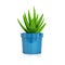 Blue Plant Pot Icon 3d Illustration