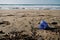 Blue Plastic bottle on sea coast, pollution ecosystem planet save concept