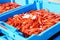 Blue plastic containers, catch of sea Royal shrimp