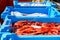 Blue plastic containers, catch of sea Royal shrimp